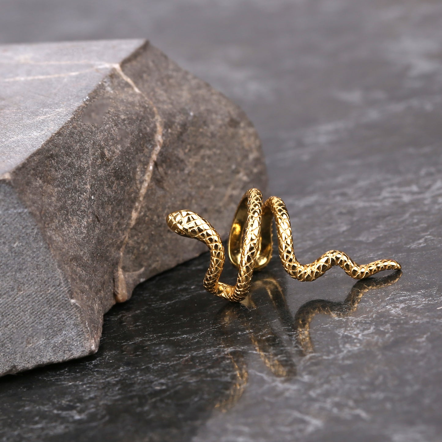 Snake Huggie Hoop Earrings Gift Set