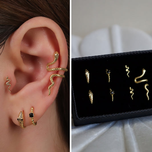 Snake Hoop Earrings Gift Set