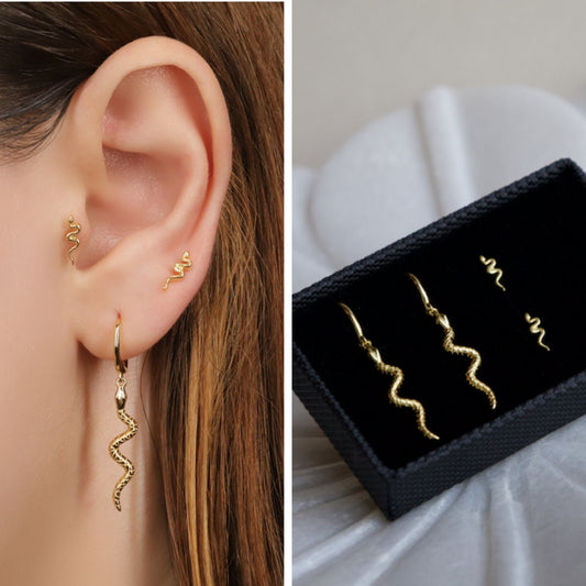 Reputation Snake Dangle Hoop Earrings Gift Set